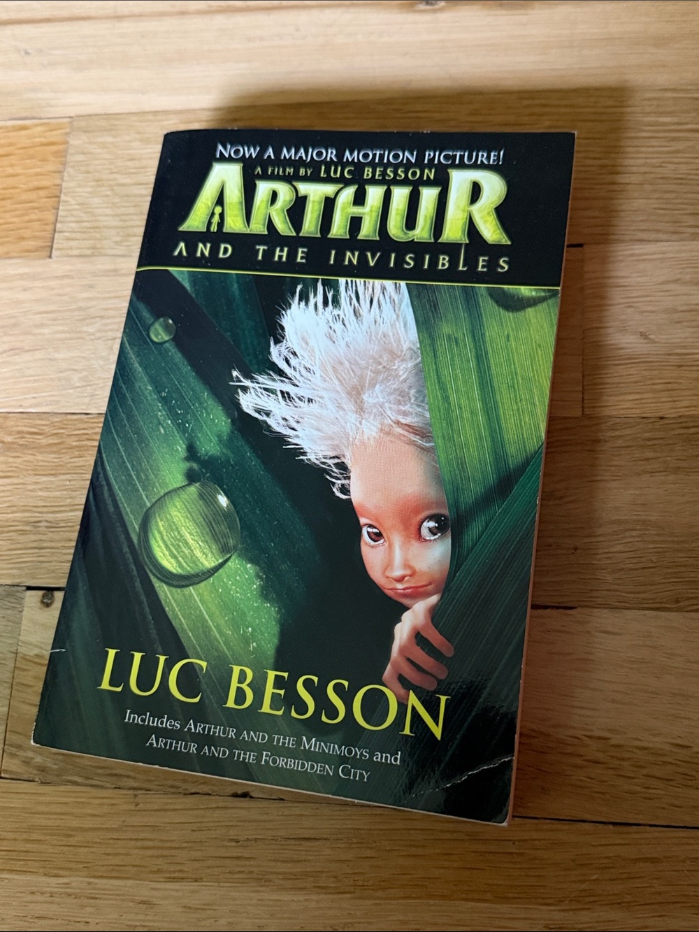 Arthur and the Invisibles by Luc Besson - Green Cover